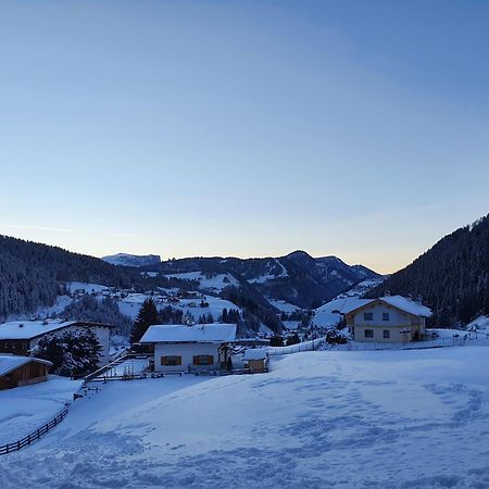 Appartamento Dolomiti Selva di Val Gardena Bagian luar foto