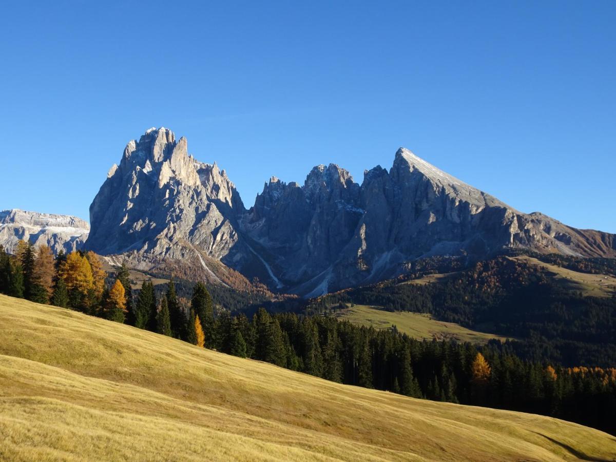 Appartamento Dolomiti Selva di Val Gardena Bagian luar foto