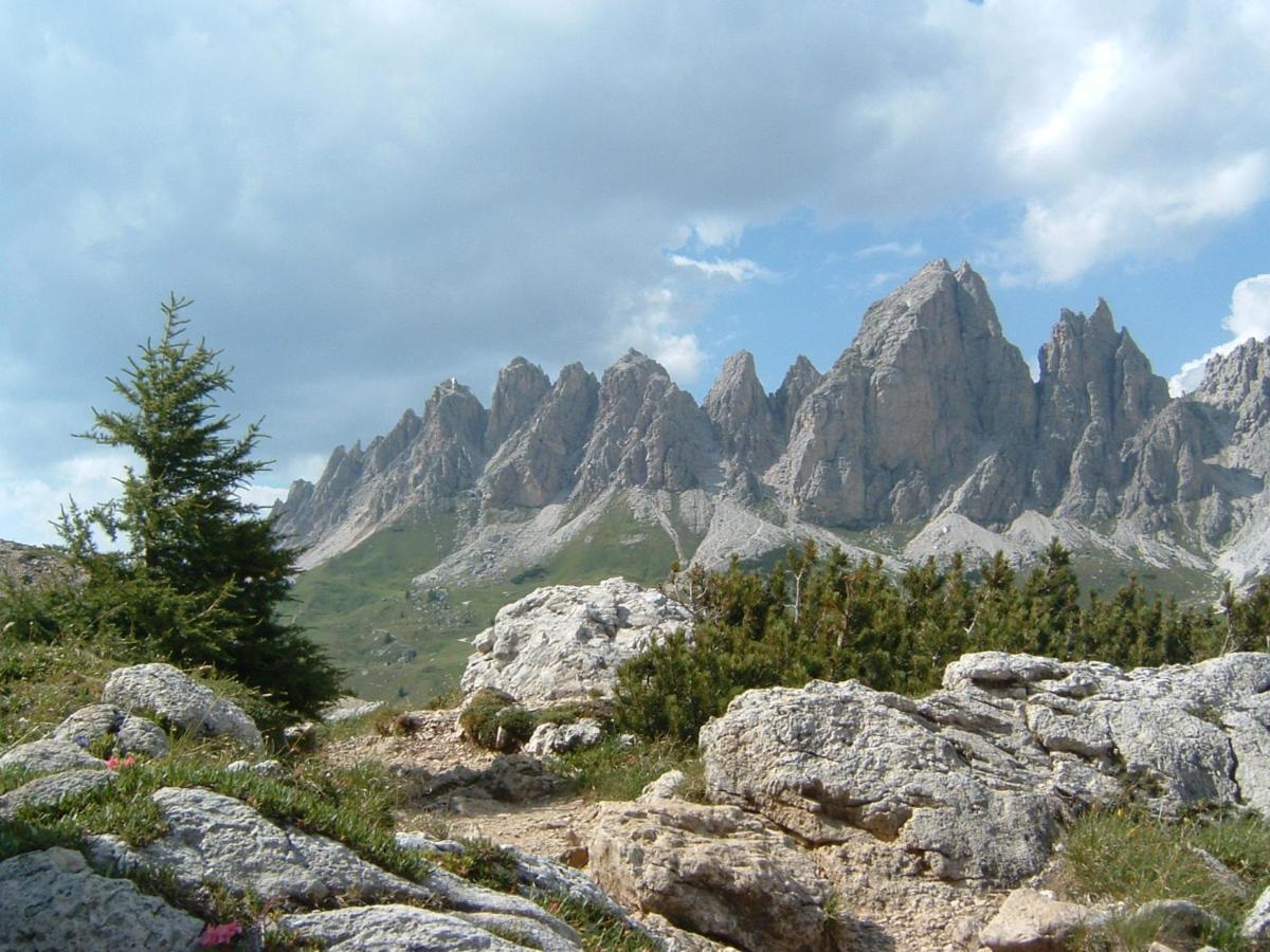 Appartamento Dolomiti Selva di Val Gardena Bagian luar foto
